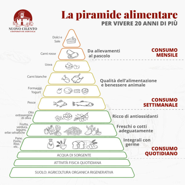 illustrazione-piramide dieta mediterranea-contadina-cooperativa-agricola-nuovo-cilento