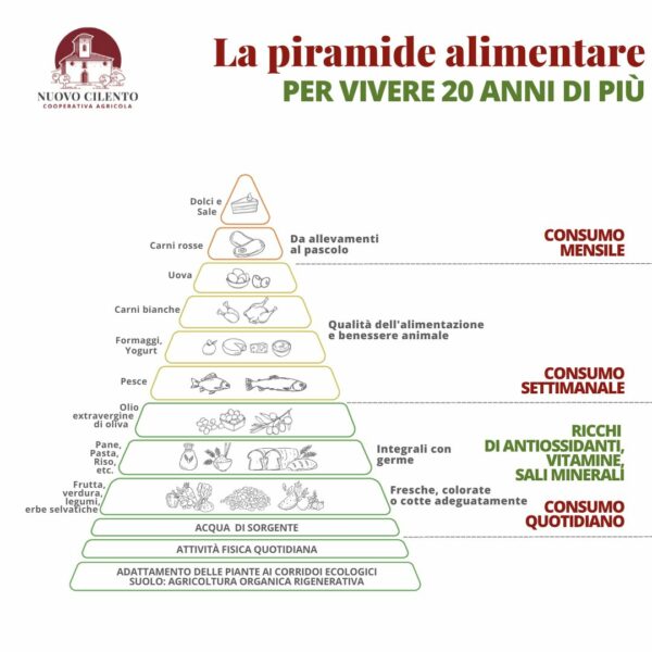 piramide-alimentare-rev2 piramide-alimentare-rev2