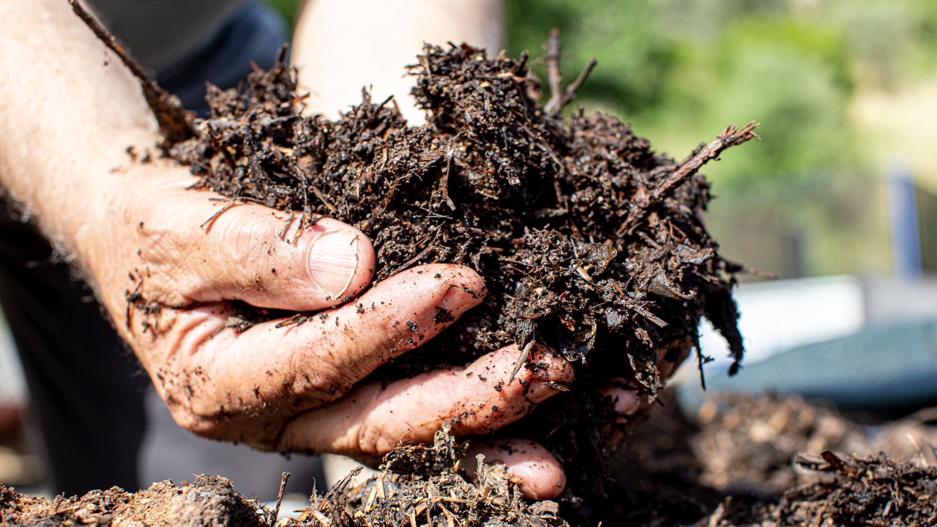 mese del compost