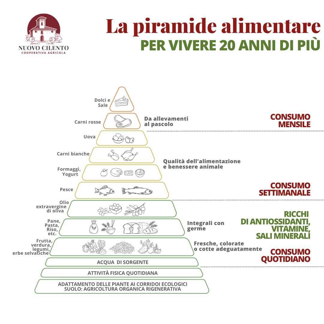 piramide-alimentare-rev2