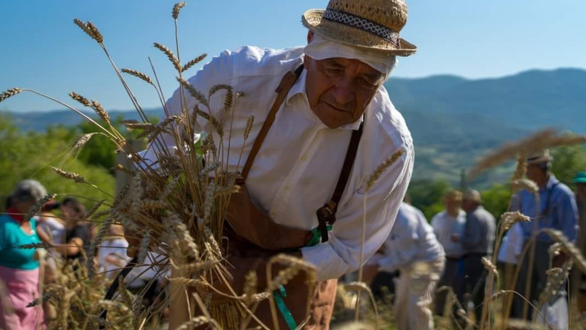 palio del grano 2024