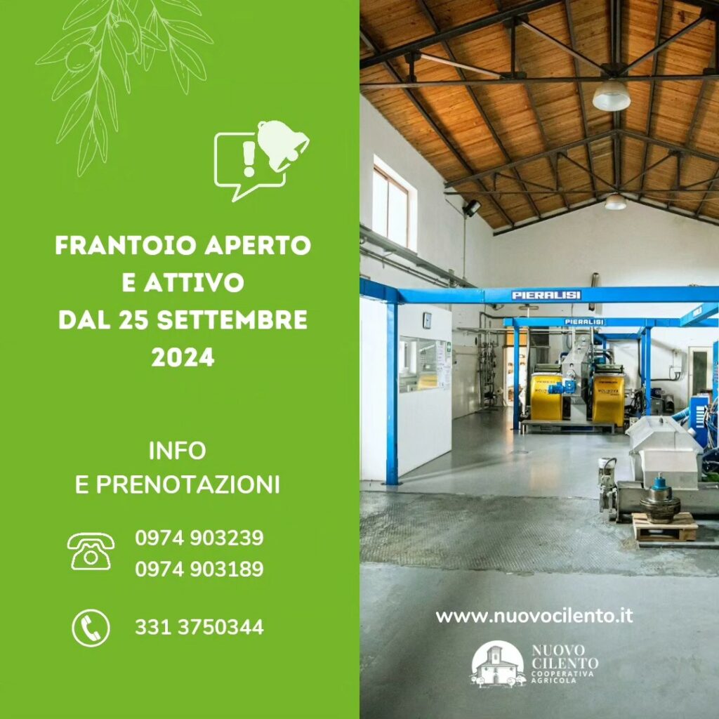 apertura frantoio 2024