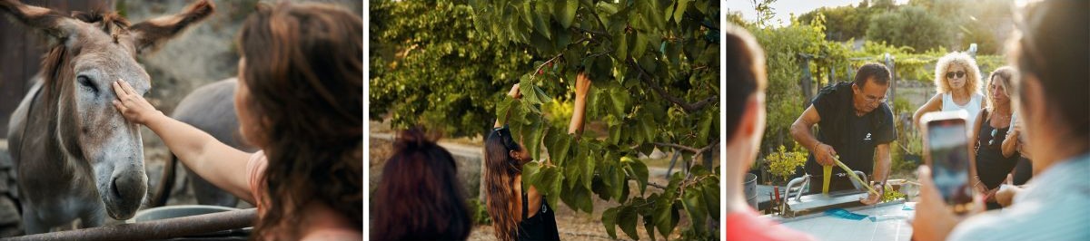 Tenuta degli eremi