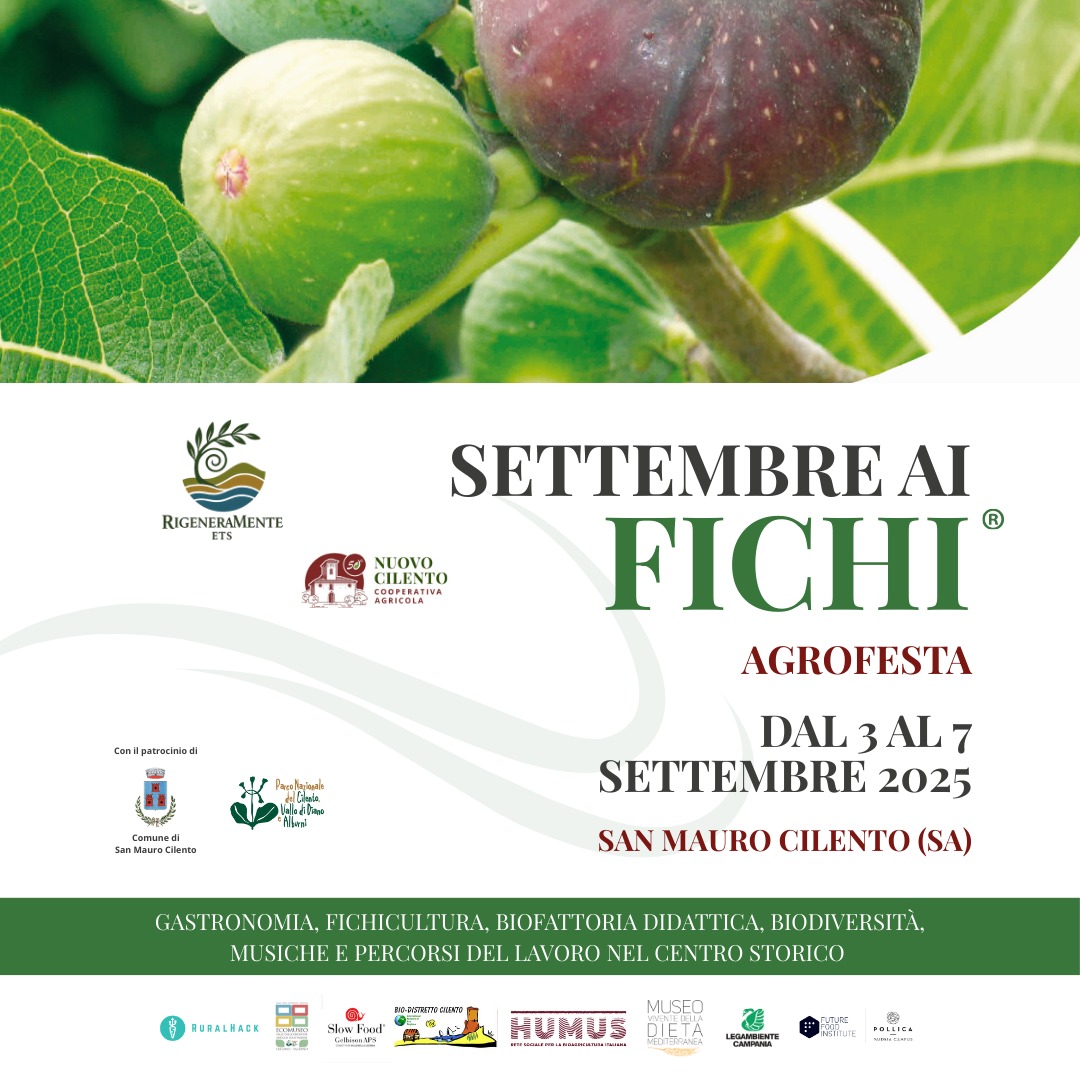 settembre ai fichi 2025 thumb
