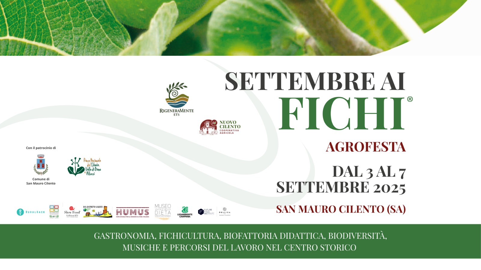 settembre ai fichi 2025 banner