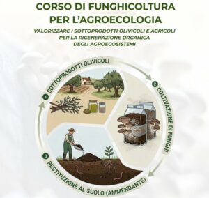 corso di funghicoltura per l'agroecologia